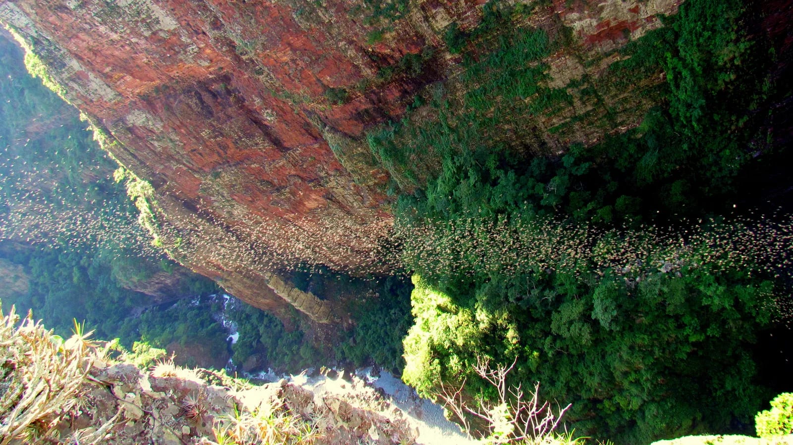 Cachoeira do Jatobá — foto 1
