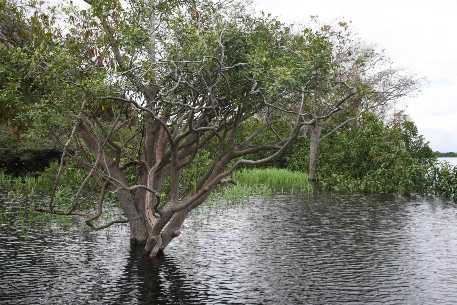 A paisagem não é um vazio entre dois extremos.