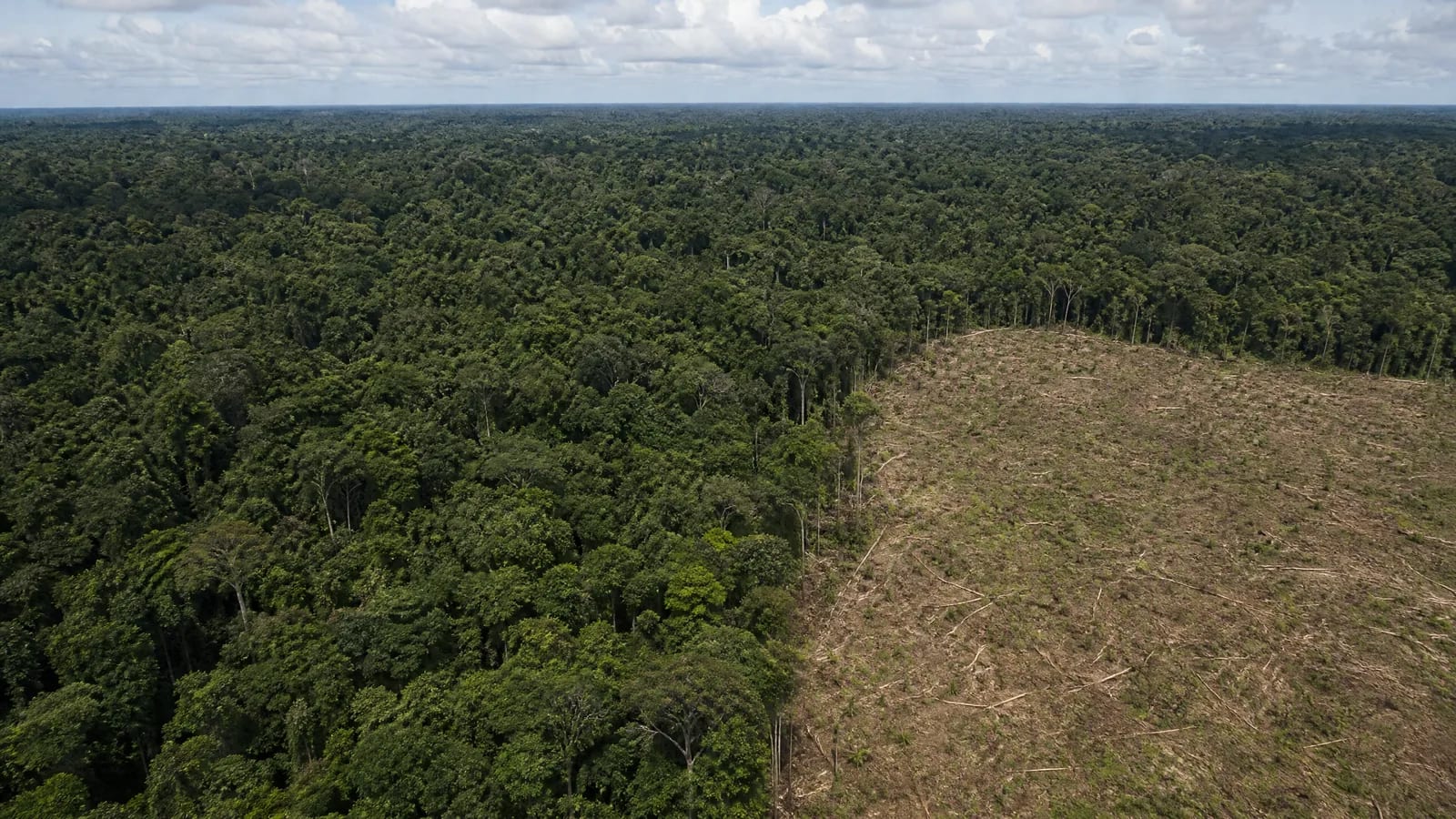 Amazônia — 10