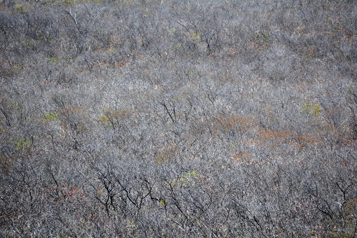 A paisagem não é um vazio entre dois extremos.