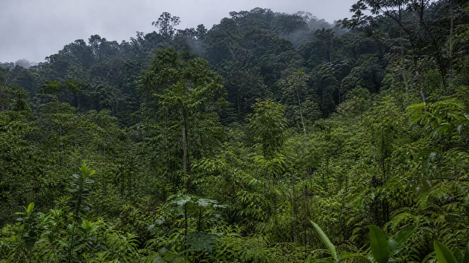 Produzir é escolher o que a paisagem terá de suportar.