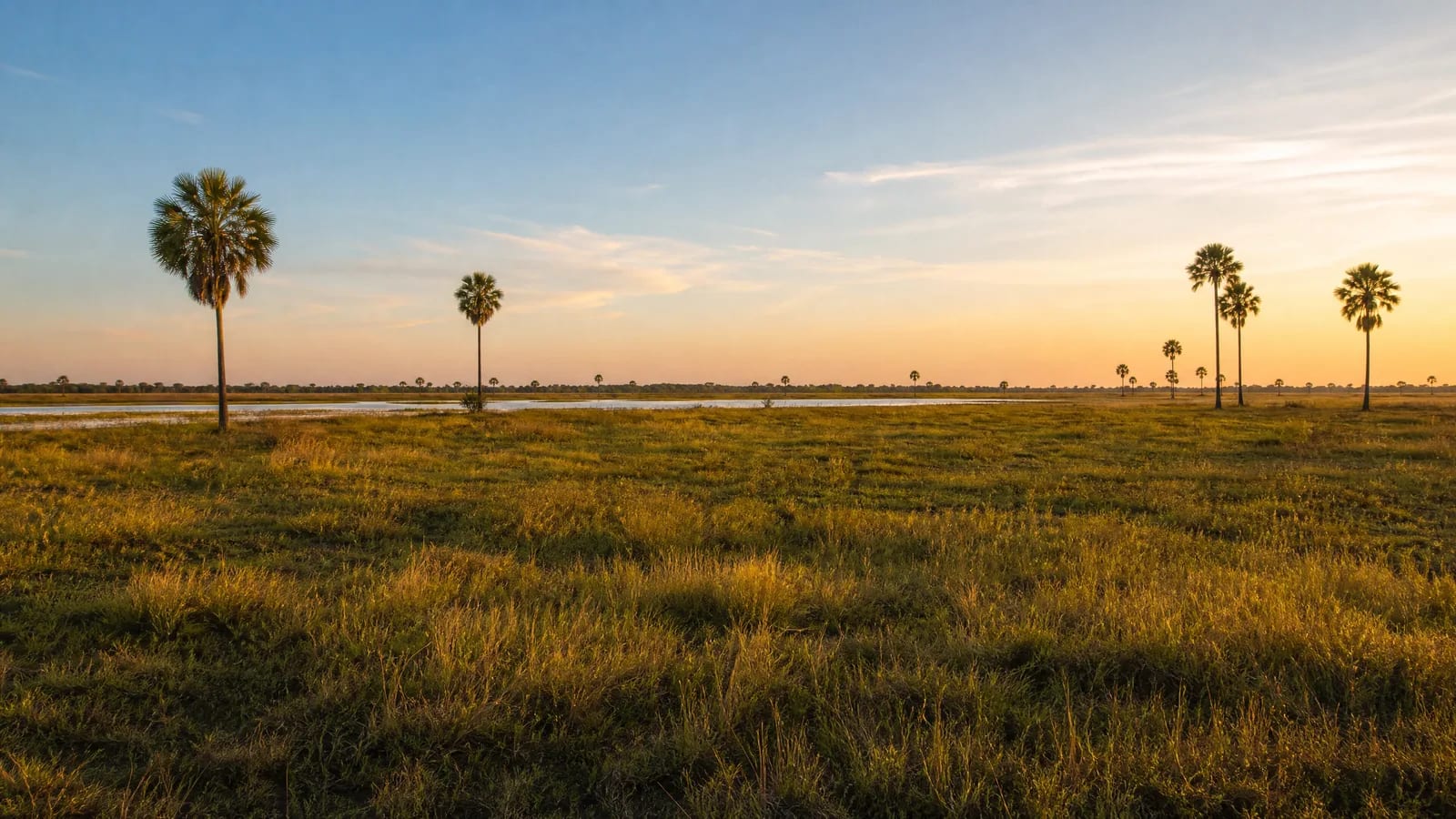 Pantanal — 2