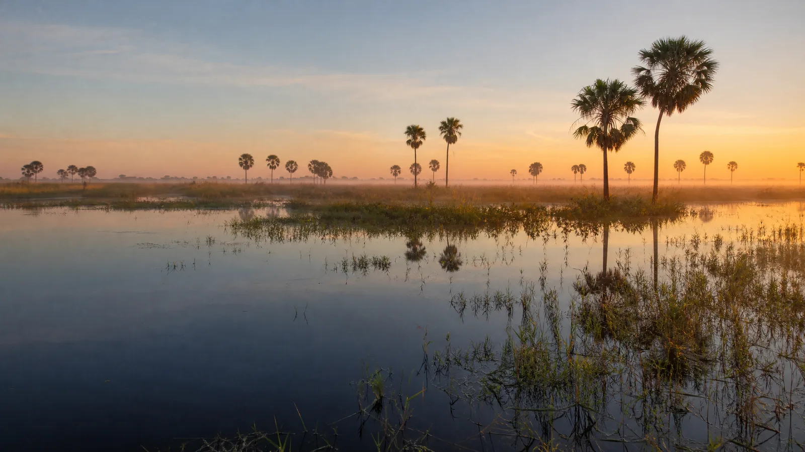 Pantanal — 6