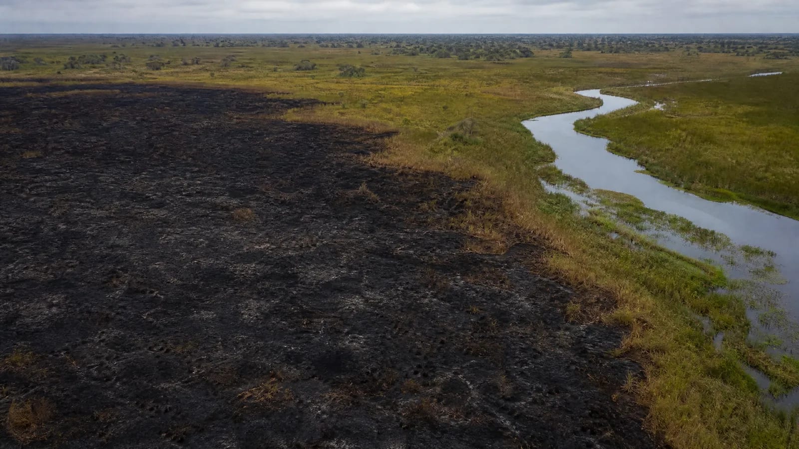 Pantanal — 10