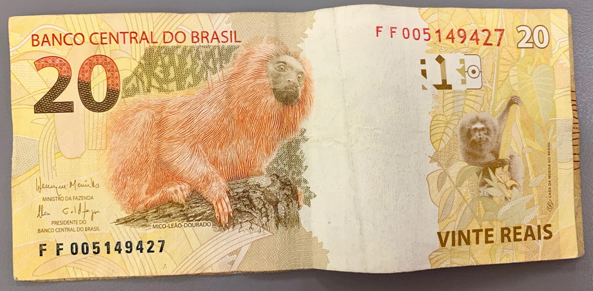 Brazilian twenty-real banknotes fanned out, showing the golden lion tamarin